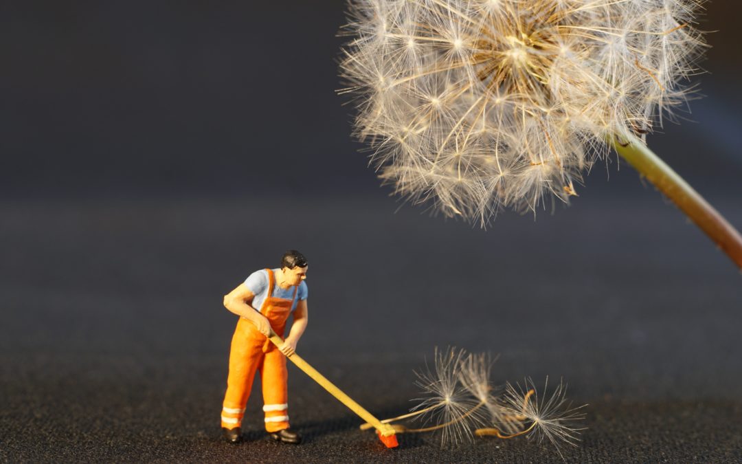 A miniature plastic male figure in orange overalls is positioned with a push broom as if he is sweeping away dandelion wisps. A white dandelion flower is in the foreground above the figure.